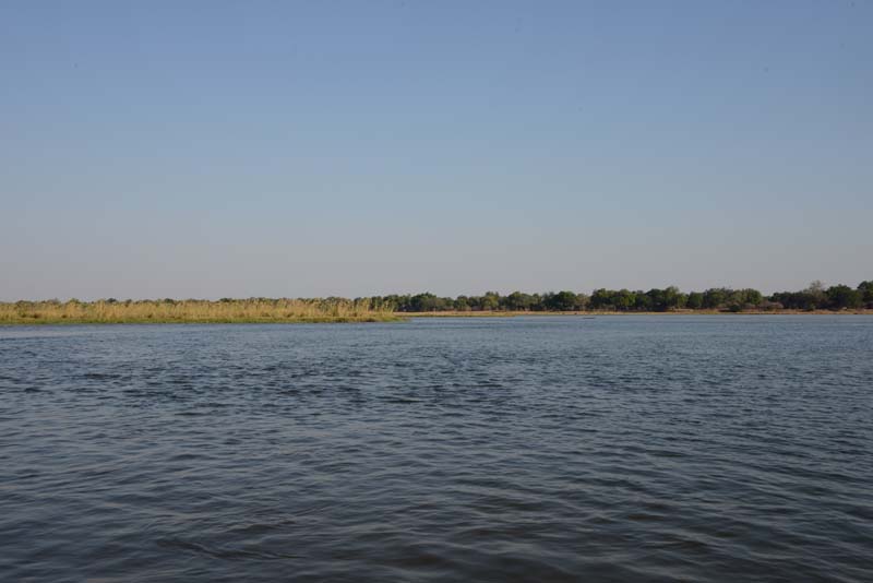 Zambezi