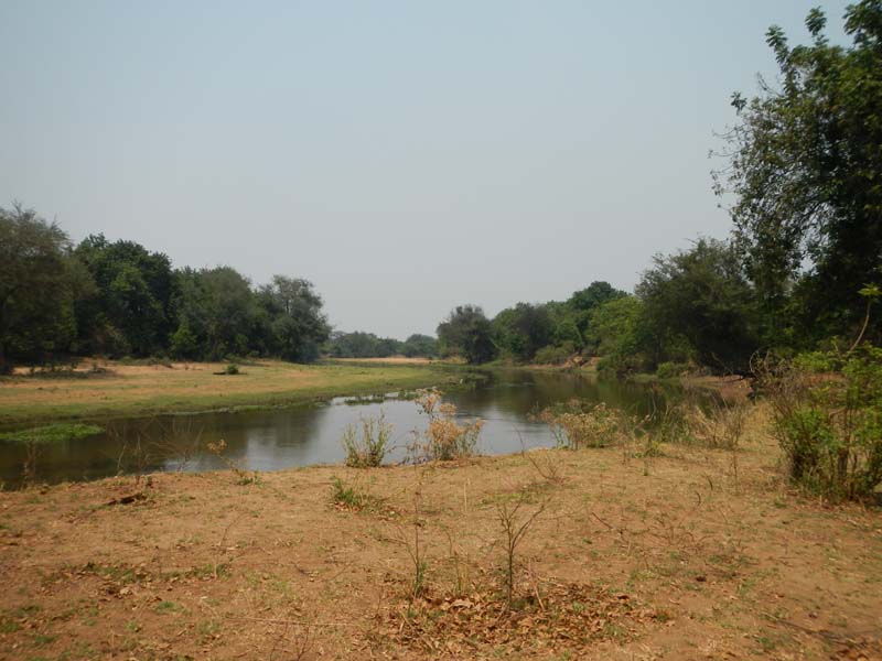 Lower Zambezi NP