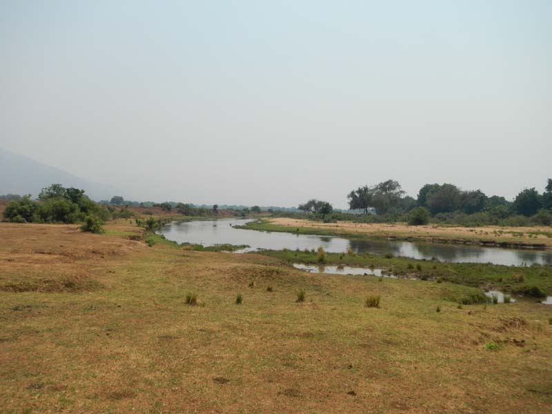 Lower Zambezi NP