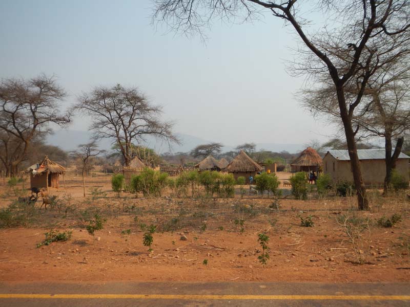 Zambia