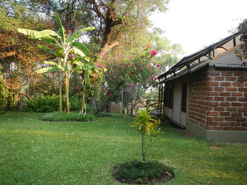 Camp Nkwazi