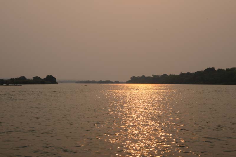 Zambezi