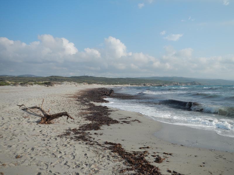 Spiaggia di Rena Maiore