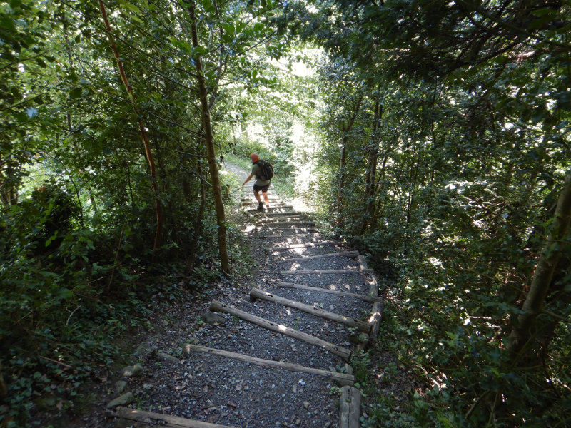 Historischer Hhenweg am Eschnerberg