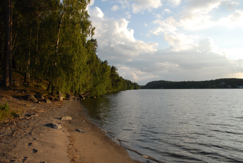 Mlaren