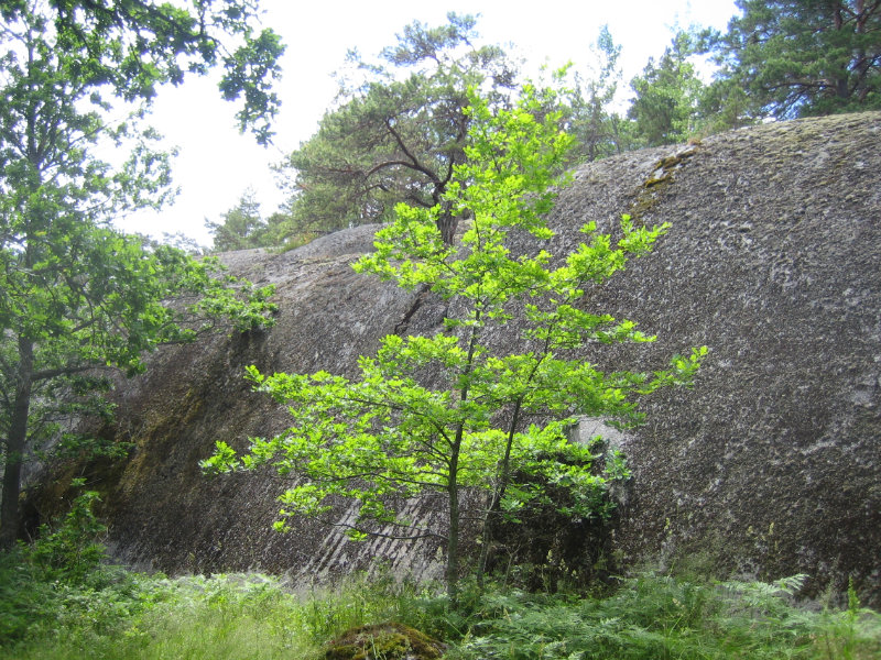 Finnhamn