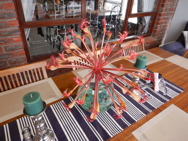 Kleinbaai