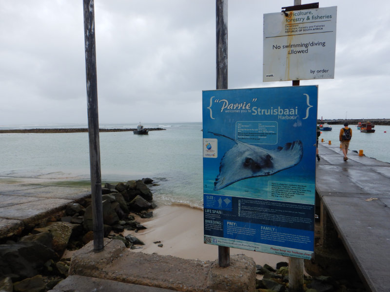 Struisbaai