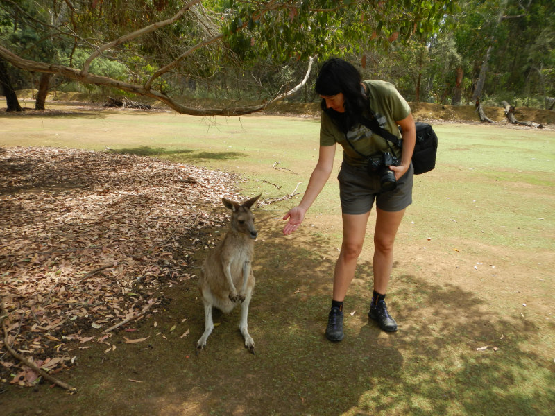 Forester Kangaroo