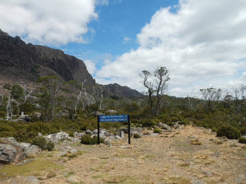 Ben Lomond NP