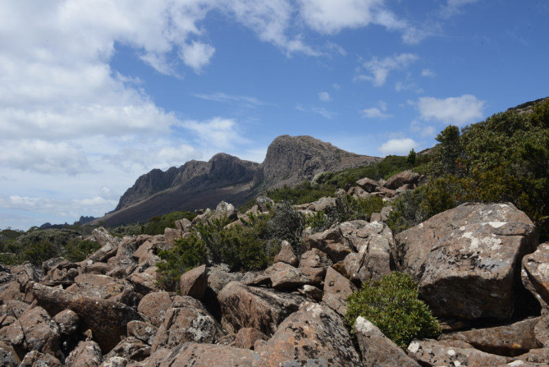 Ben Lomond NP