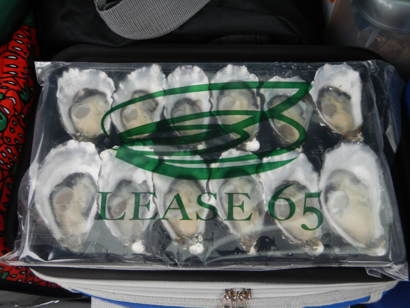 Lease 65 Oysters