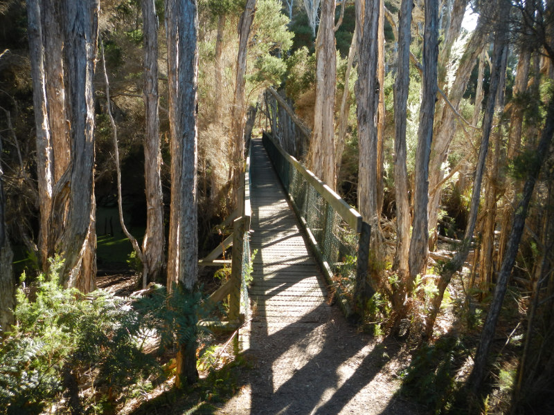 Narawntapu NP