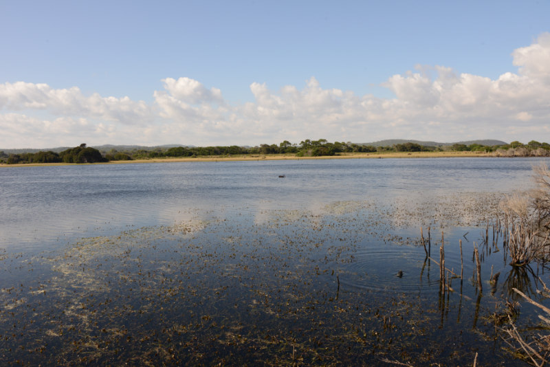 Narawntapu NP