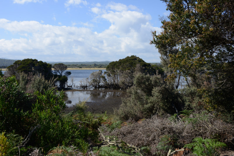 Narawntapu NP