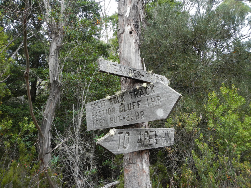 Meander Forest Reserve