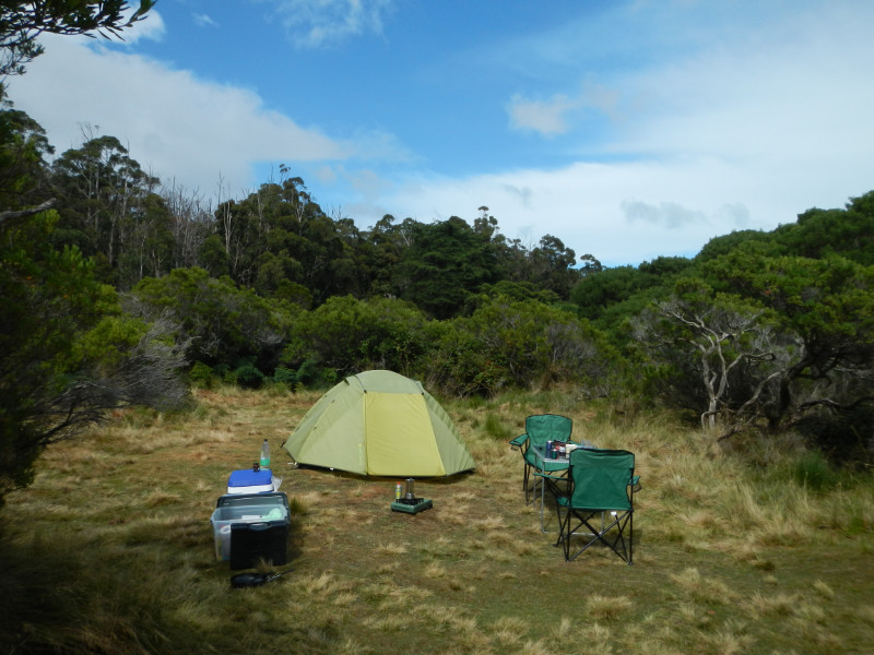 Cockle Creek