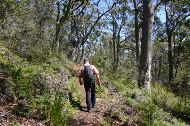 South Cape Bay Track