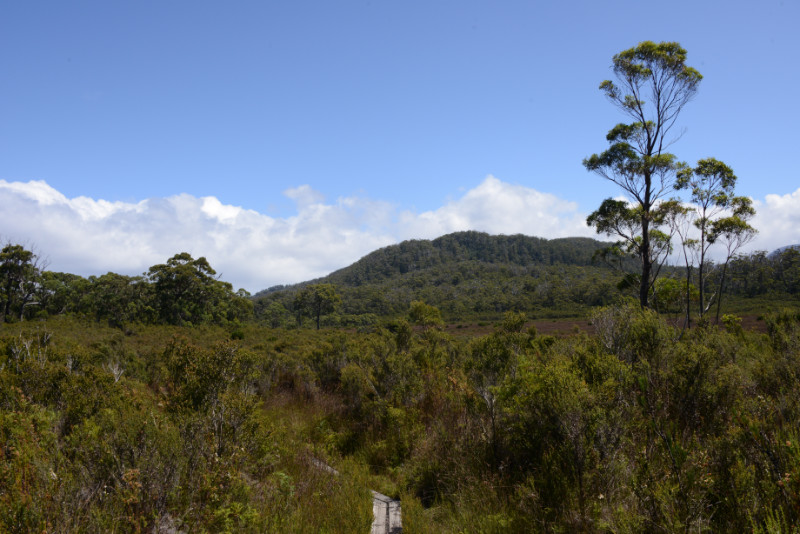 South Cape Bay Track