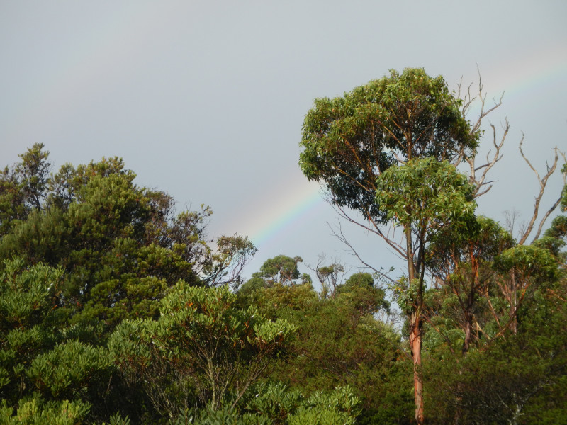 Cockle Creek