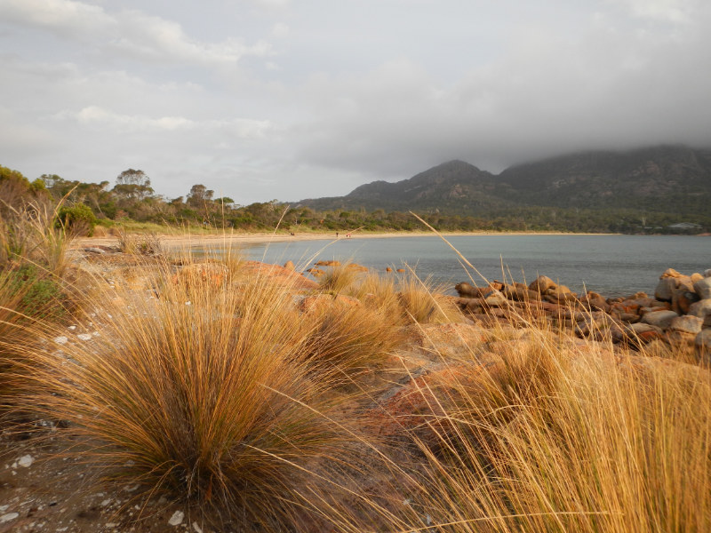 Freycinet NP