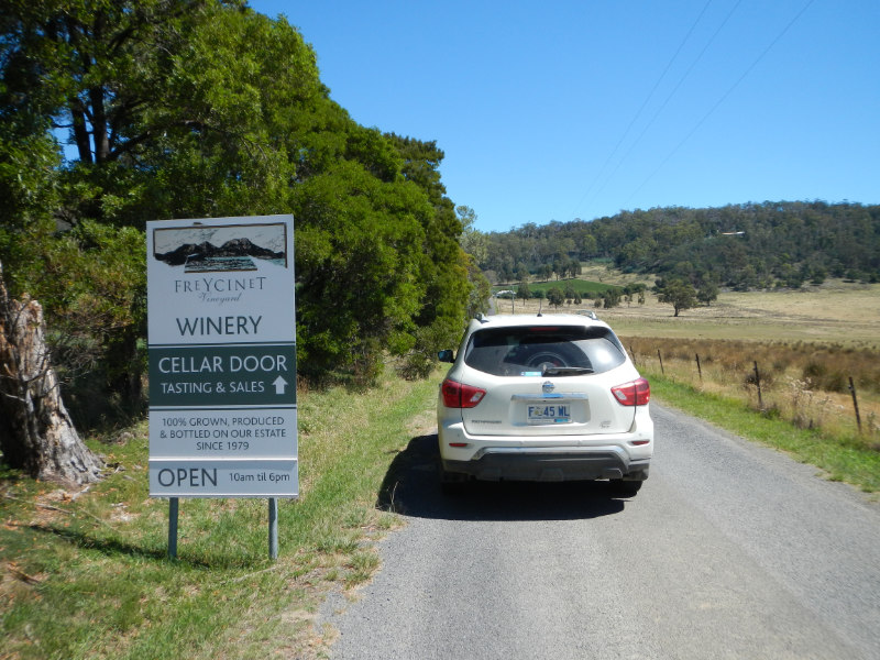 Freycinet Vineyard