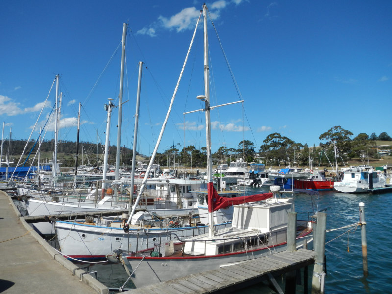 Triabunna