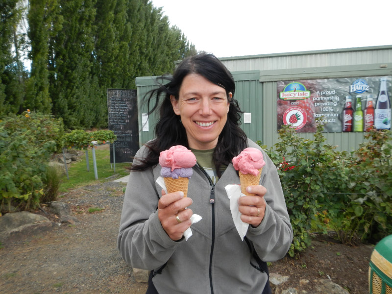 Westerway Rasberry Farm