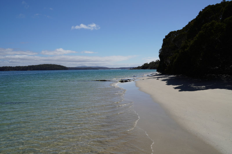 Cockle Creek