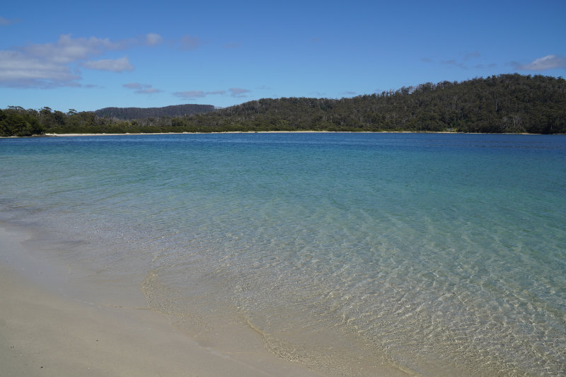 Cockle Creek