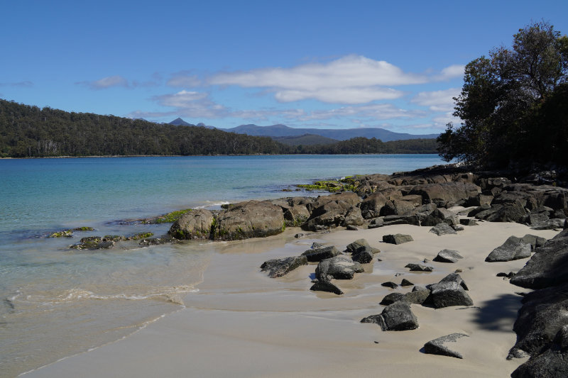 Cockle Creek