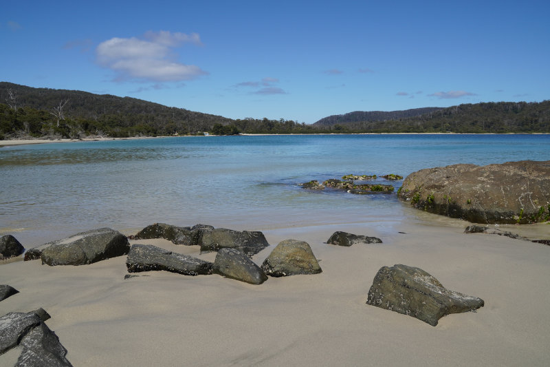 Cockle Creek