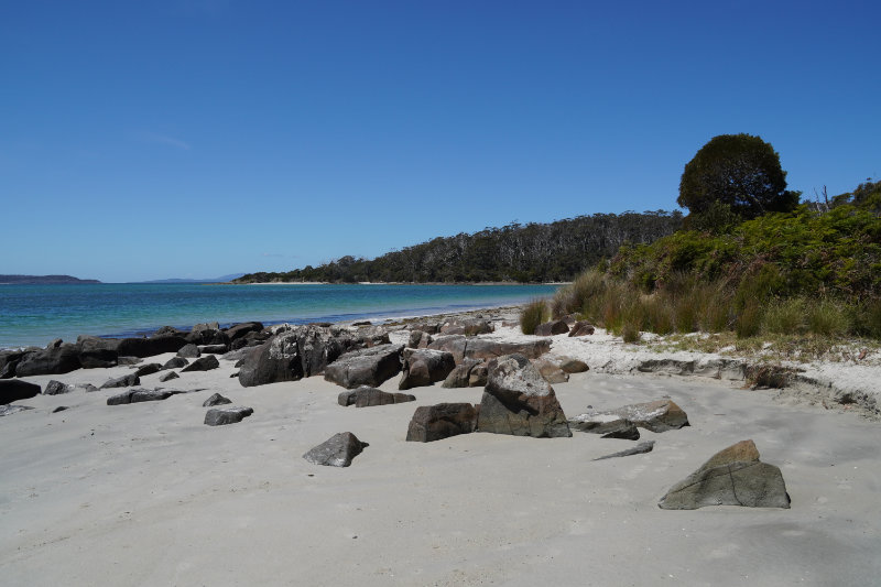 Cockle Creek