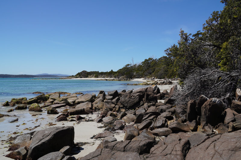 Cockle Creek