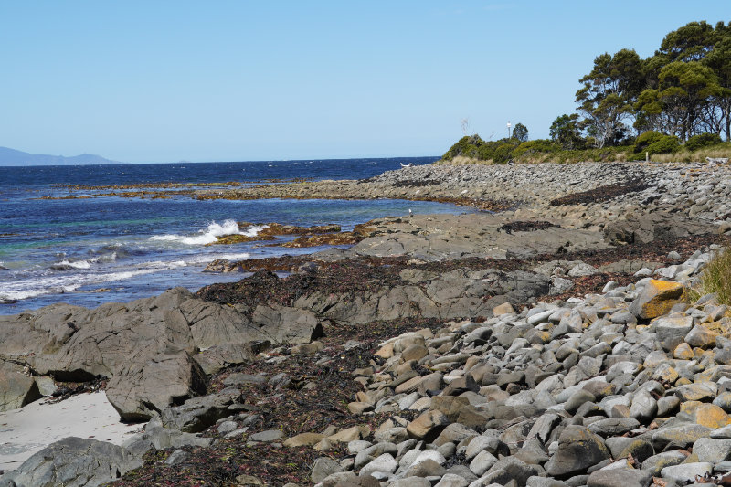 Fishers Point