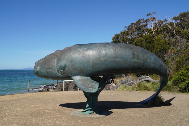 Cockle Creek