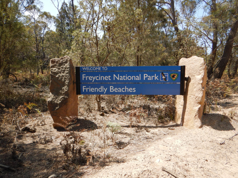 Friendly Beaches