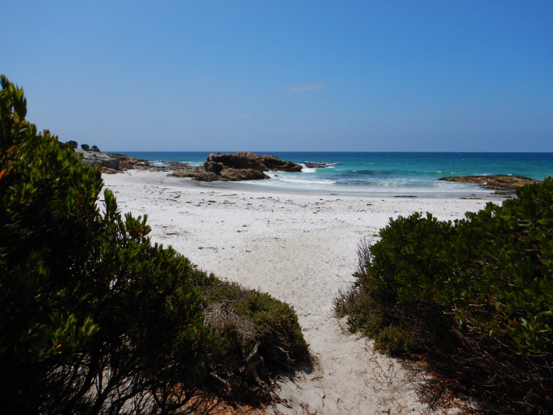 Friendly Beaches