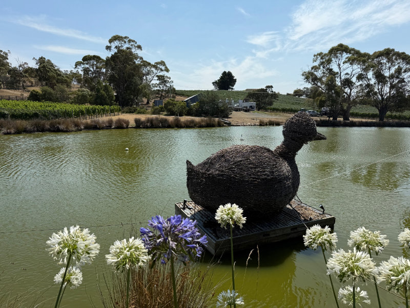 Puddleduck Winery