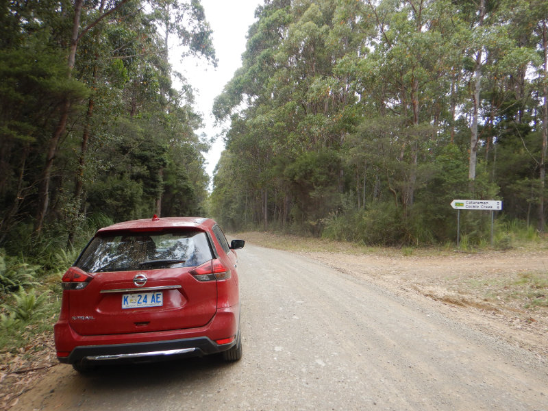 Cockle Creek