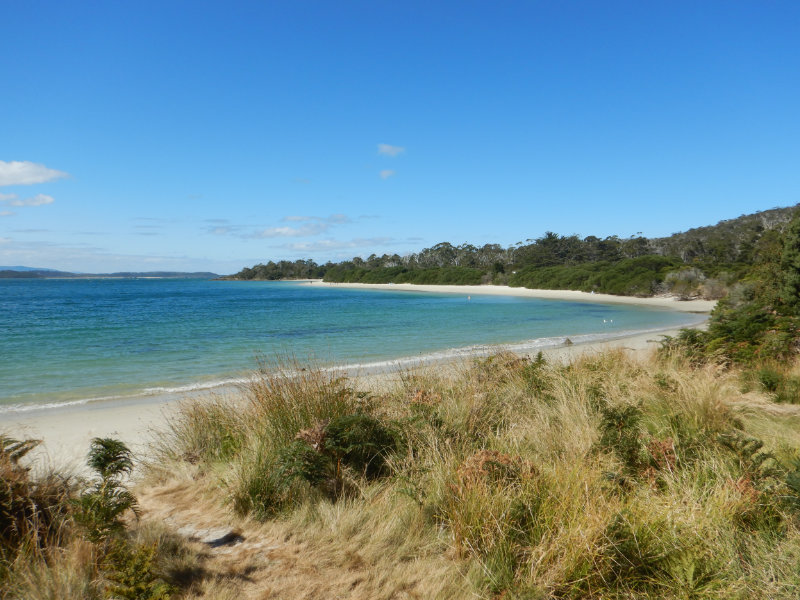 Cockle Creek
