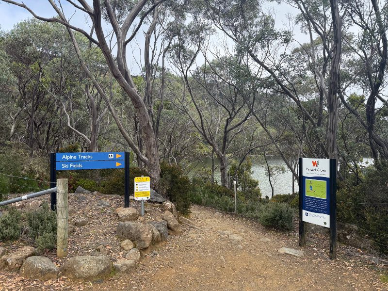 Lake Dobson