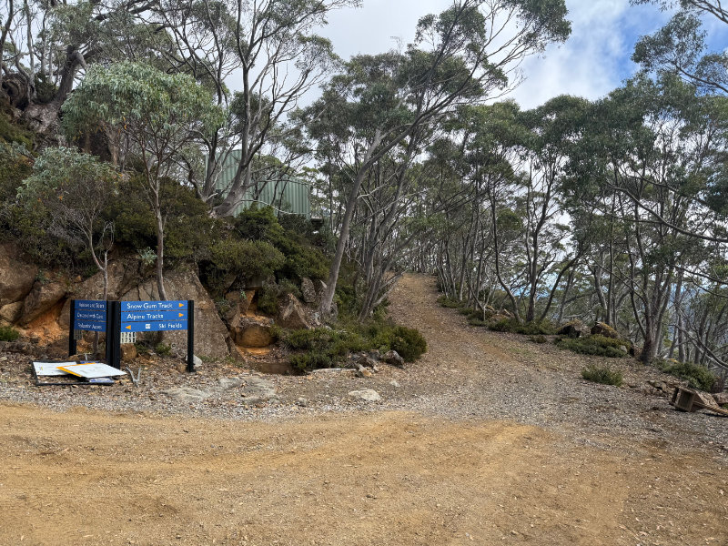 Lake Dobson Ski Field