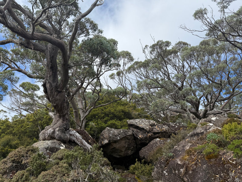 Tarn Shelf Circuit