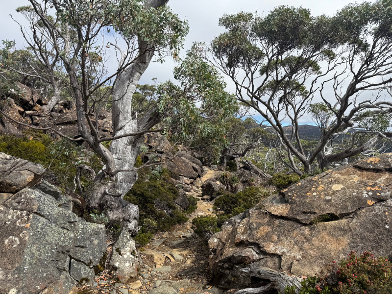 Tarn Shelf Circuit