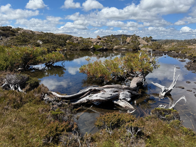 Tarn Shelf Circuit