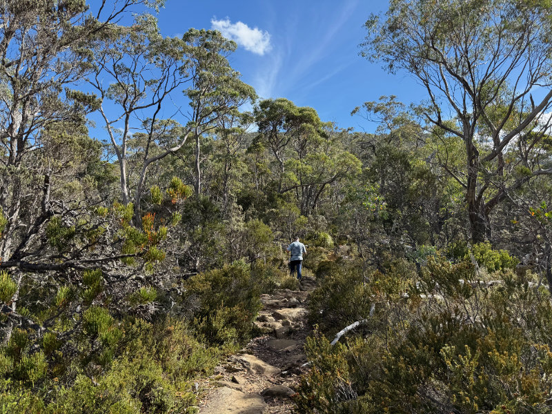 Tarn Shelf Circuit