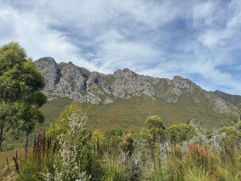 Gordon River Road