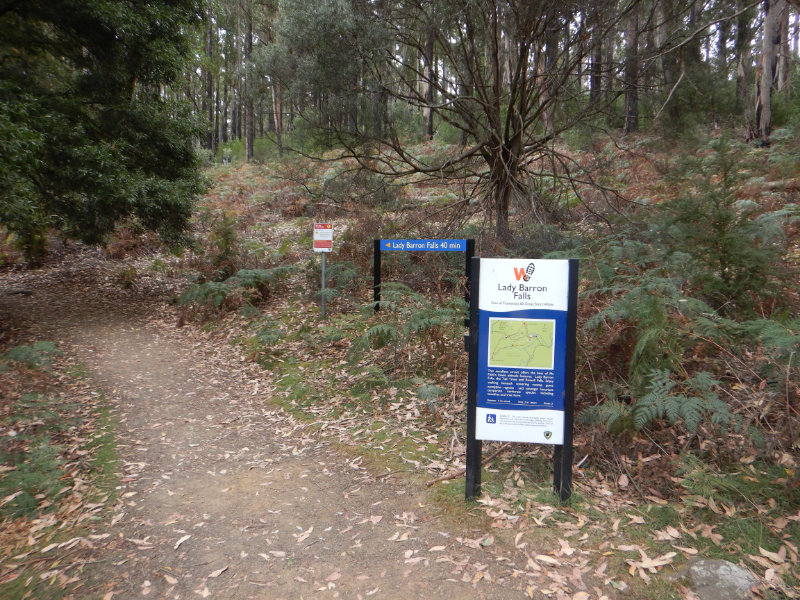 Mt Field NP
