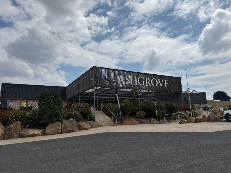 Ashgrove Cheese